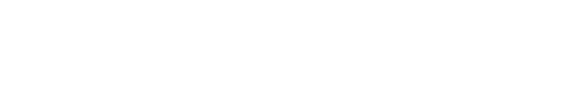 Welle Logo - White no tagline